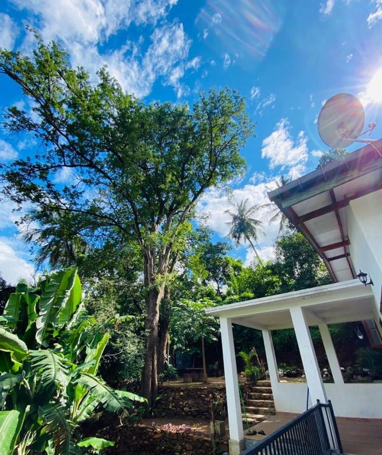Pearl'S Homestay מטאלה מראה חיצוני תמונה